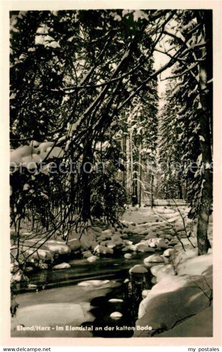 72631976 Elend Harz Waldpartie Im Elendstal An Der Kalten Bode Winterlandschaft  - Sonstige & Ohne Zuordnung