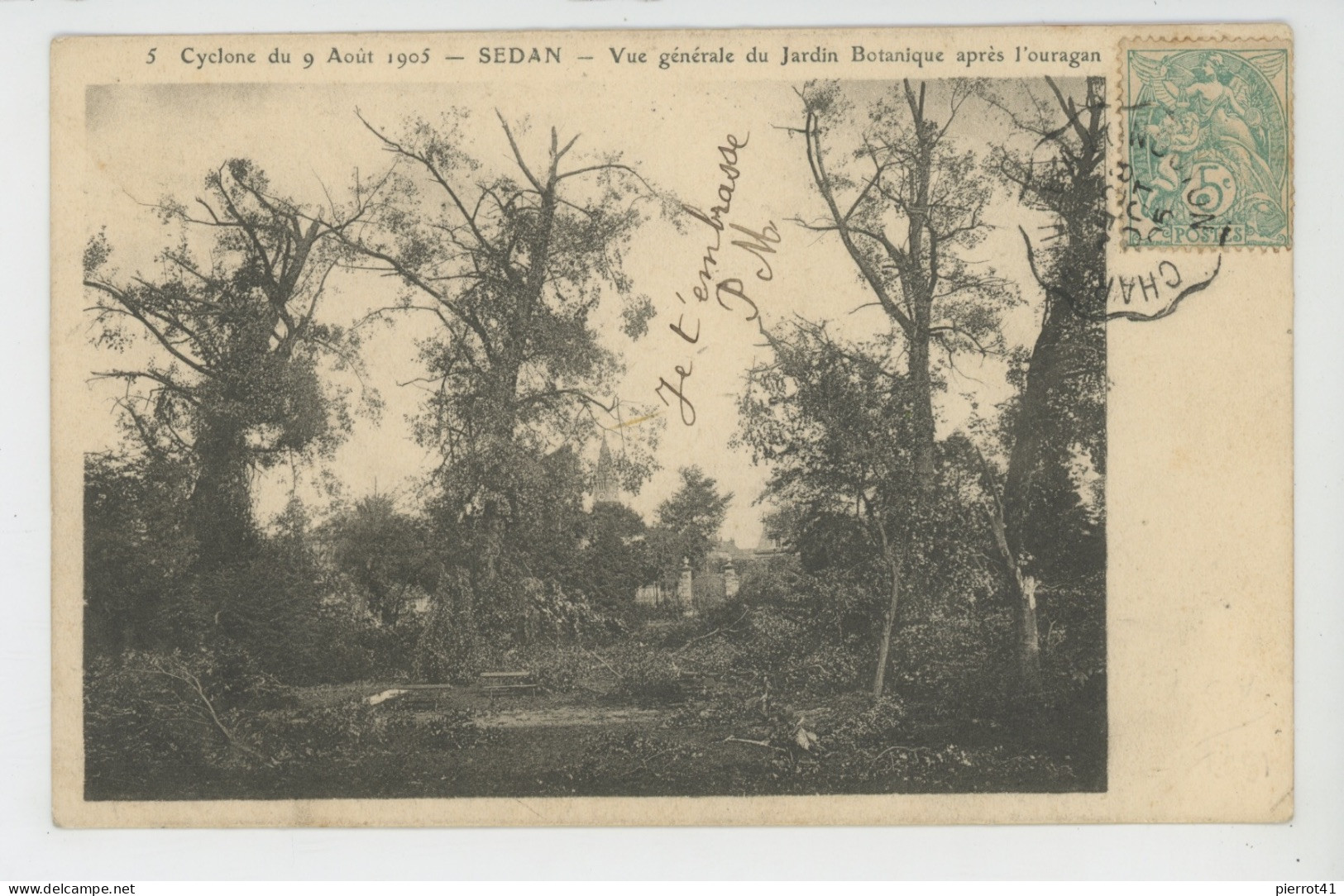 SEDAN - Cyclone Du 9 Août 1905 - Vue Générale Du Jardin Botanique Après L'ouragan - Sedan