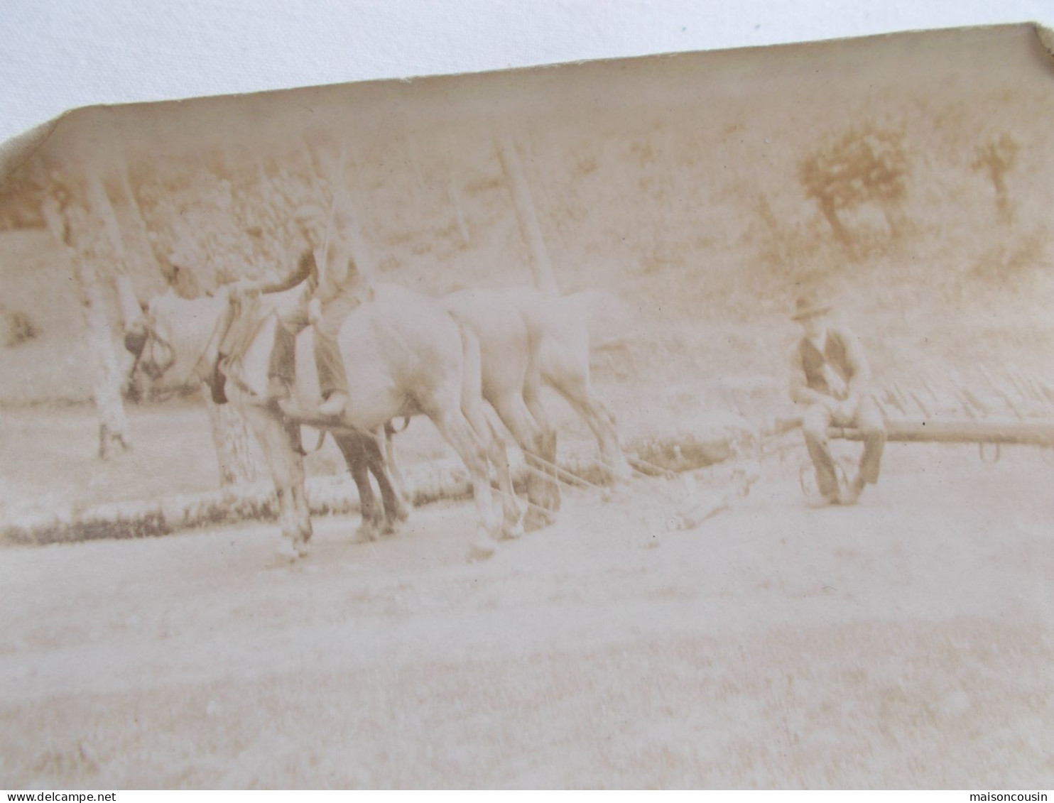 PHOTO ANCIENNE ANTIQUE FOTO SNAPSHOT CHEVAUX TRAIT HERSE CHARRUE LABOUR MONTREUIL VINTAGE - Berufe