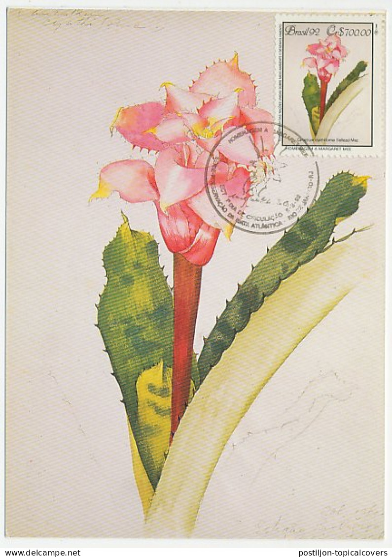 Maximum Card Brazil 1992 Flower - Sonstige & Ohne Zuordnung