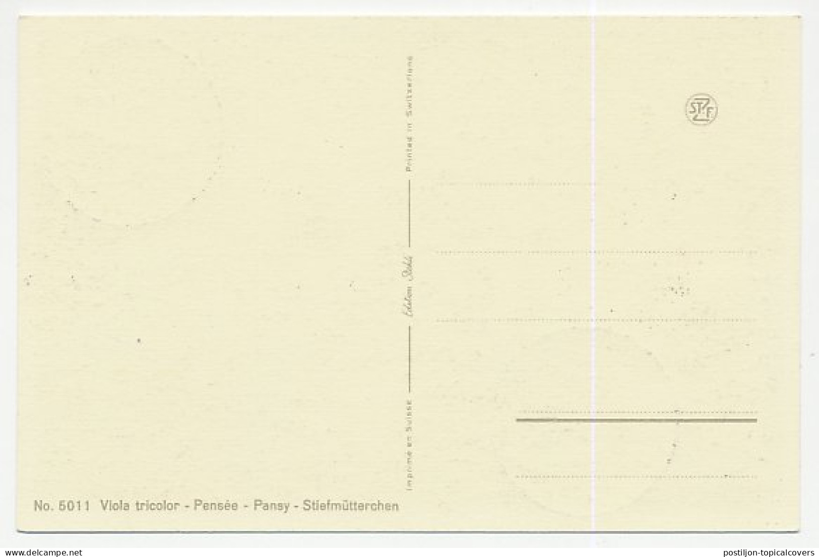 Maximum Card San Marino 1958 Viola Tricolor - Other & Unclassified