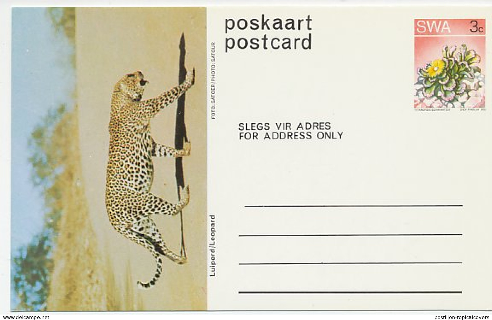 Postal Stationery South West Africa 1973 Leopard - Panther - Andere & Zonder Classificatie