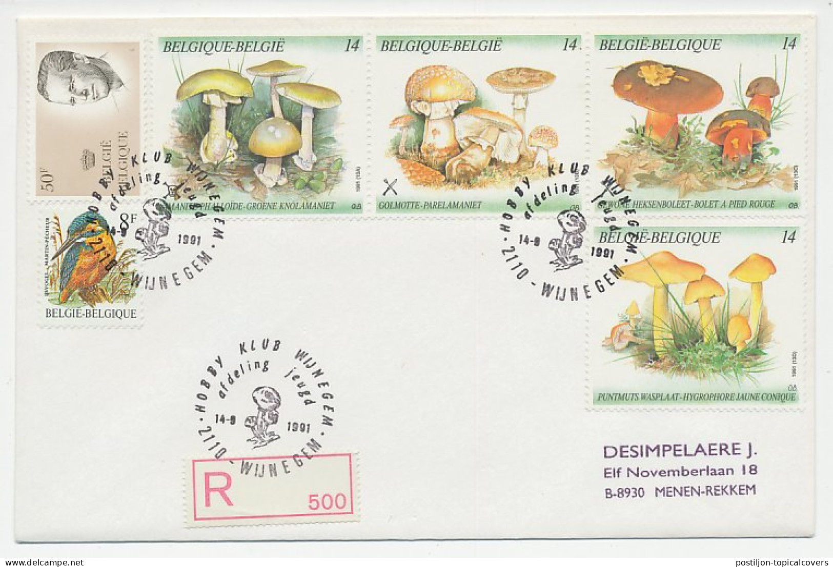 Registered Cover / Postmark Belgium 1991 Mushroom - Pilze