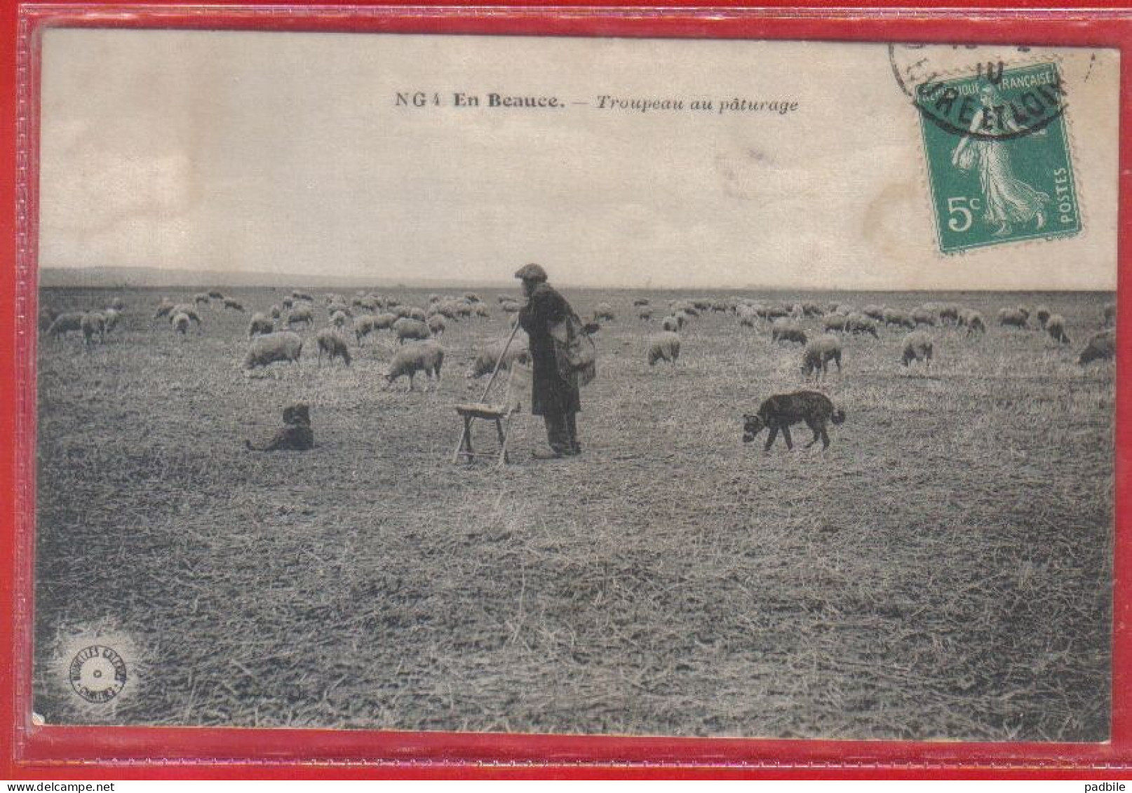 Carte Postale 28. En Beauce  Berger Et Son Troupeau De Moutons Au Pâturage  Très Beau Plan - Other & Unclassified