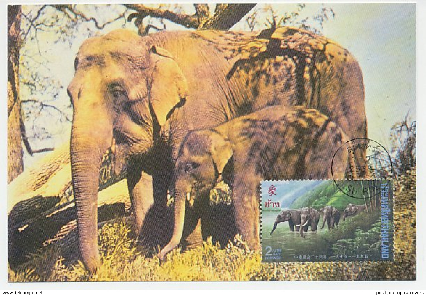 Maximum Card Thailand Elephant - Other & Unclassified