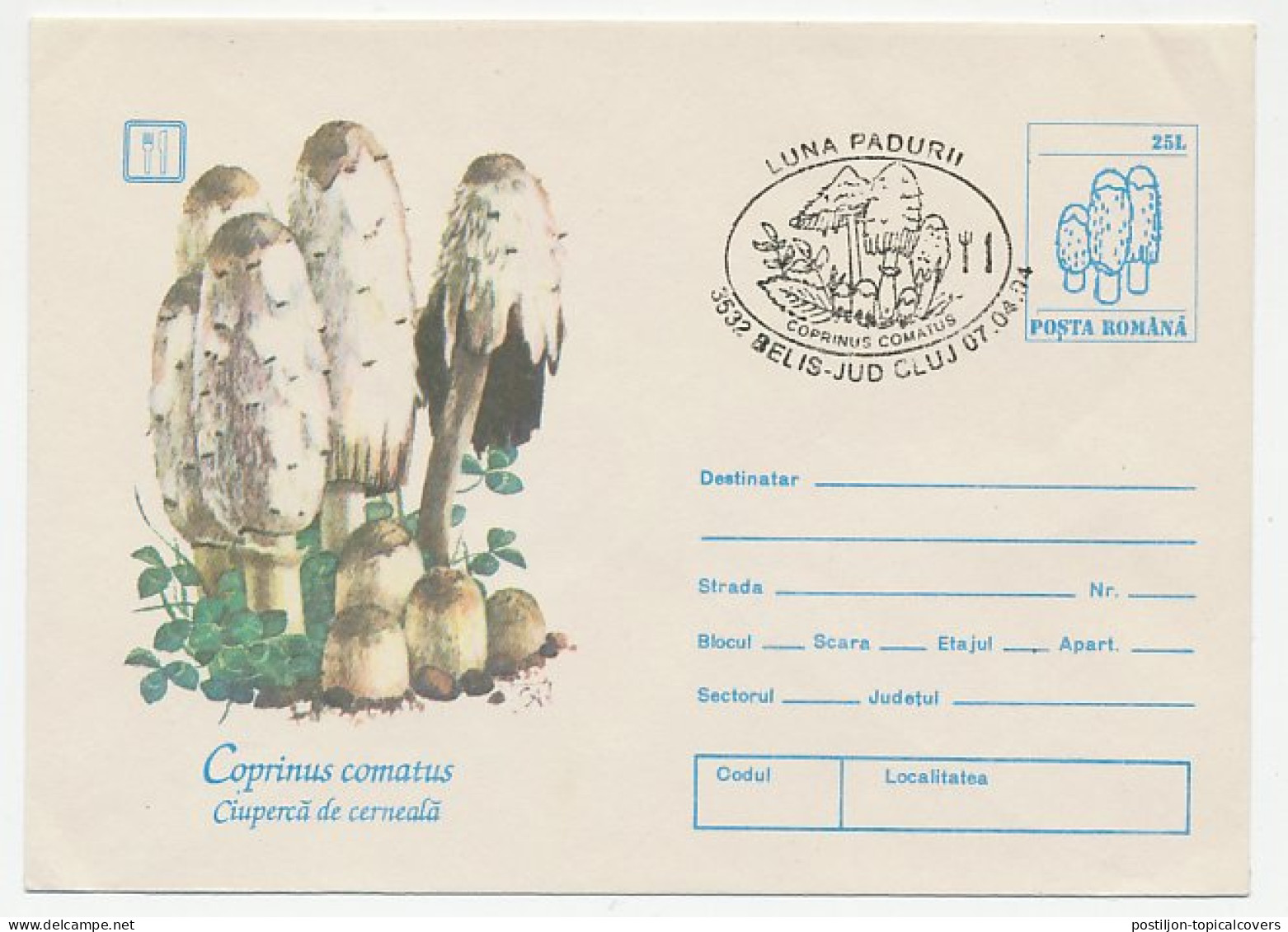 Postal Stationery Romania 1994 Mushroom - Champignons