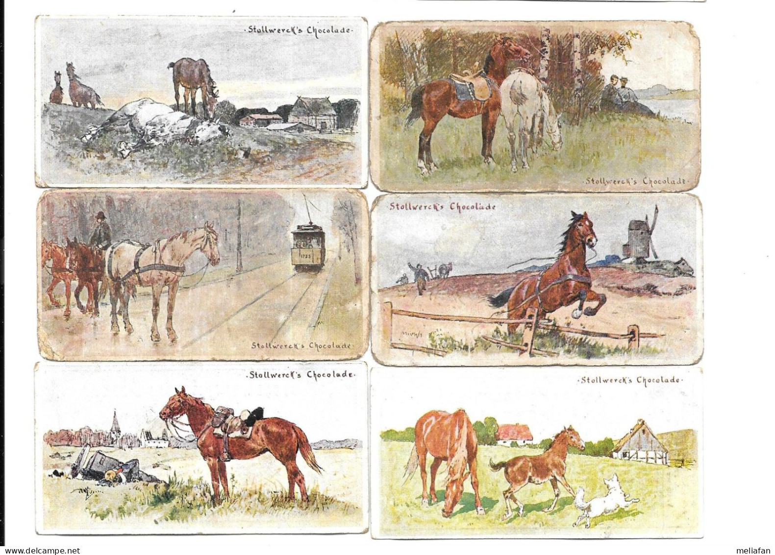 DP39  - CHROMOS STOLLWERCK - CHEVAUX - Cartes De Membre