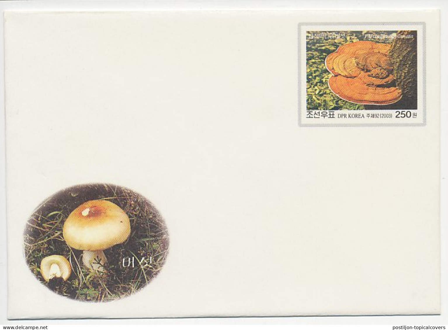 Postal Stationery Korea 2003 Mushroom - Mushrooms