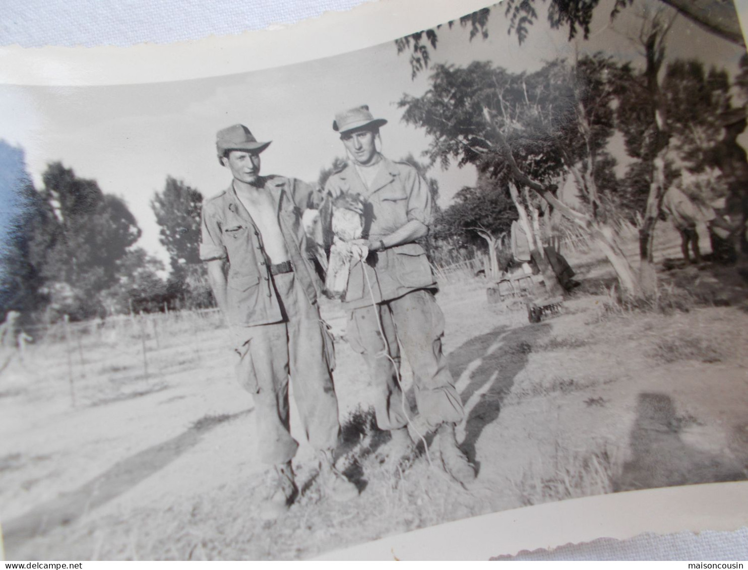 PHOTO ANCIENNE ANTIQUE FOTO SNAPSHOT MILITAIRE AVEC RAPACE MAROC KSAR EL SOUK VINTAGE - Guerre, Militaire