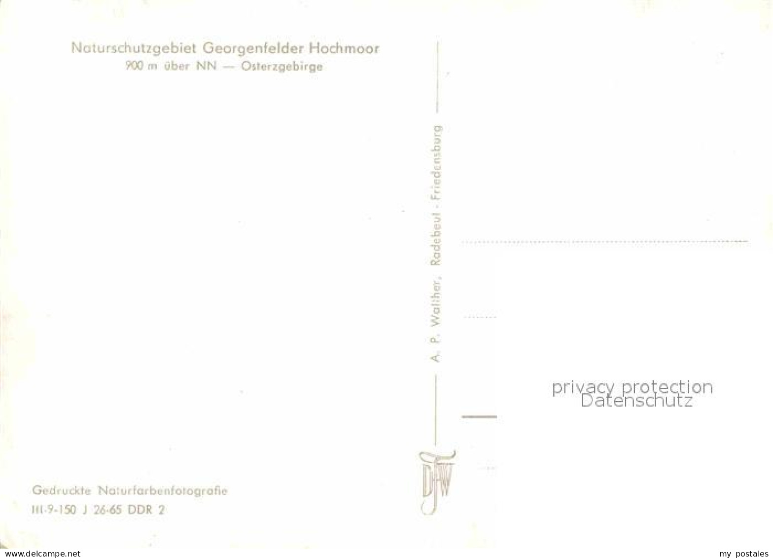 72630792 Georgenfeld Hochmoor Zinnwald-Georgenfeld - Altenberg
