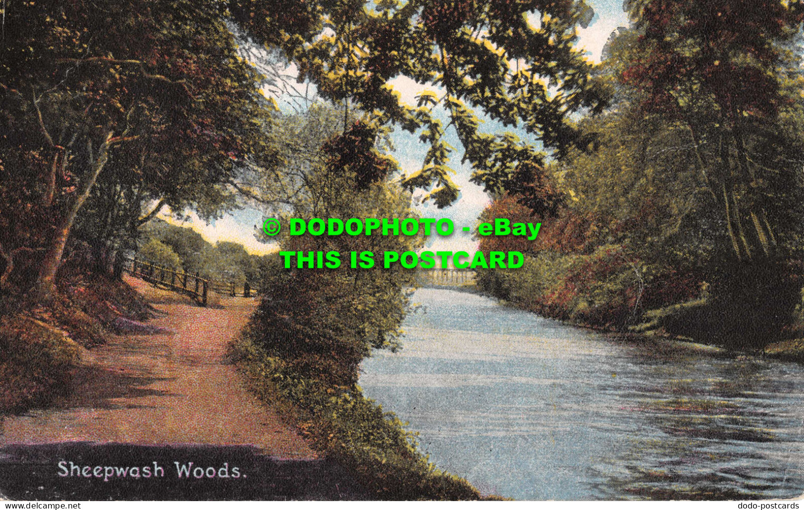 R554401 Sheepwash Woods. Fine Art Post Cards. Shureys Publications - Mundo