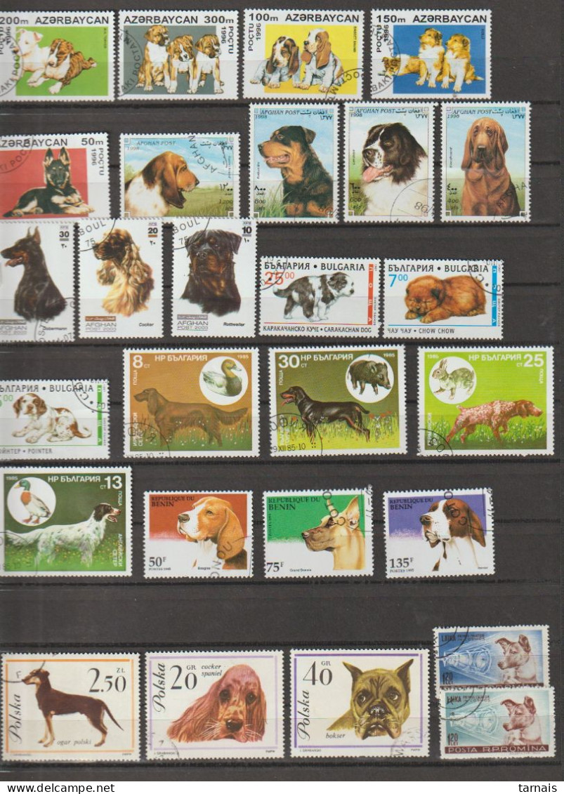 Lot De 70 Timbres  Thème Chiens (lot 672) - Cani