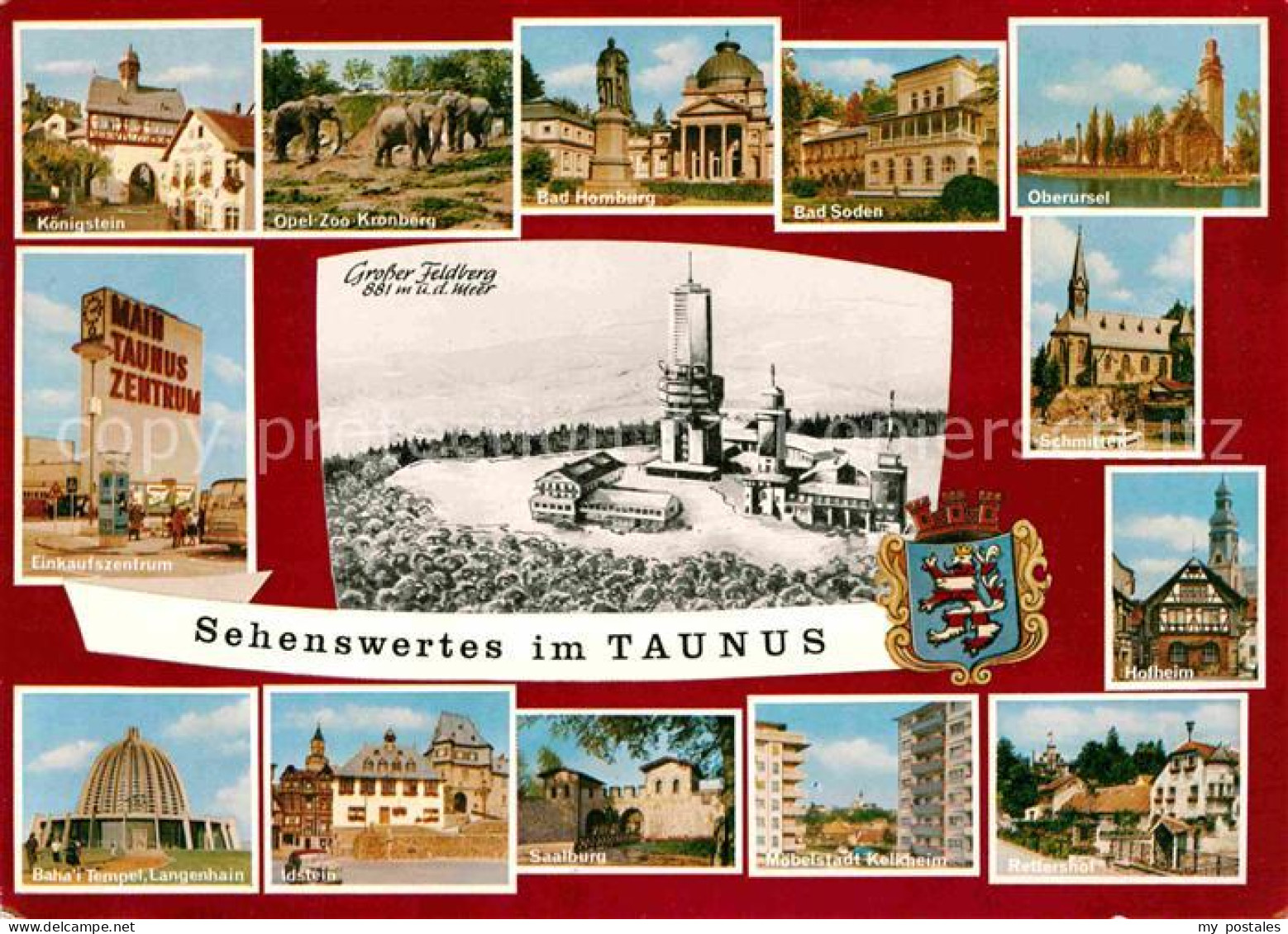 72628577 Taunus Region Koenigstein Opel Zoo Kronberg Bad Homburg Bad Soden Oberu - A Identifier