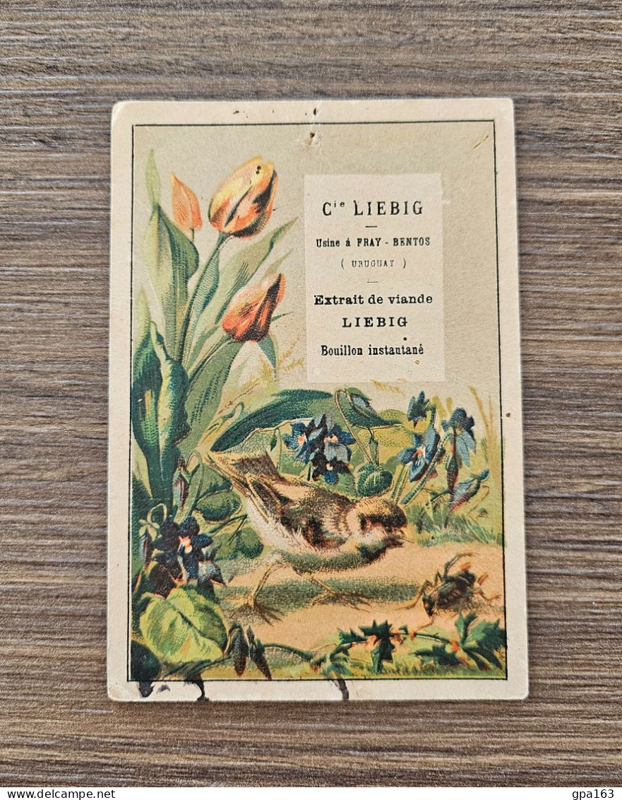 Chromo Liebig Serie 62 UCCELLI 2° (MEDIA GRANDEZZA) (a-Uccello, Coleottero E Tulipani) Qualche Imperfezione - Liebig