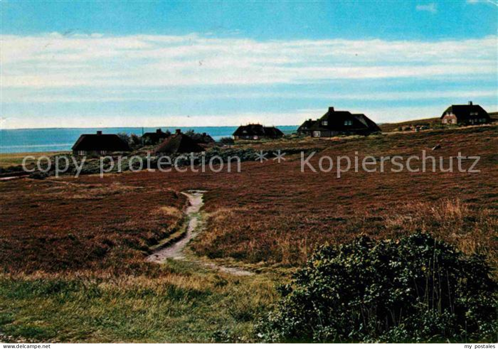 72627633 Insel Sylt Friesenhaeuser In Der Kampener Heide Westerland - Otros & Sin Clasificación