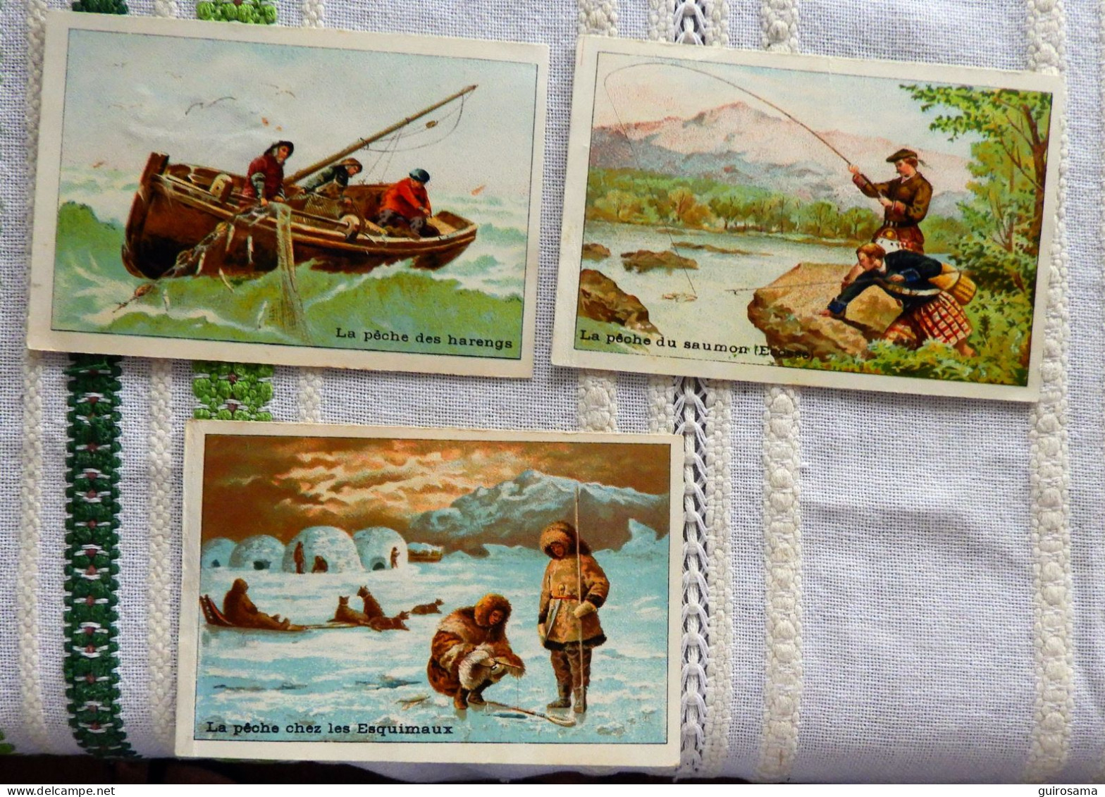 Lot De 3 Chromos Sur La Pêche : Harengs, Saumons, Esquimaux - Fishing - Fish - Autres & Non Classés