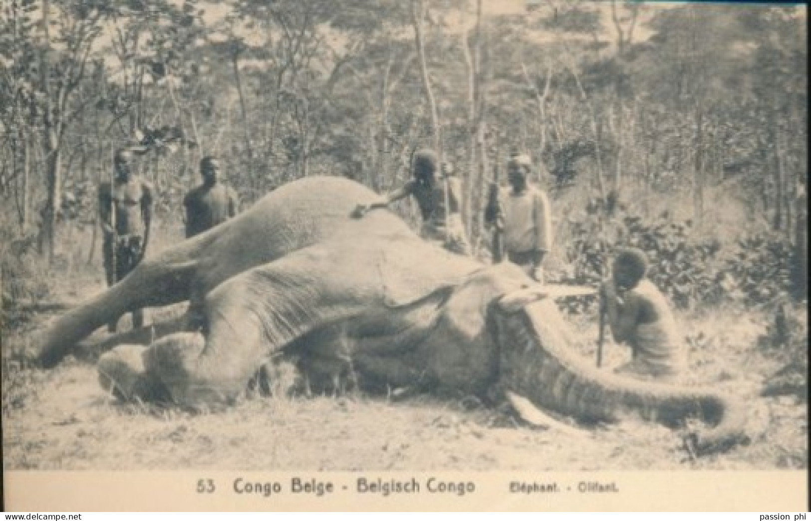 ZAC BELGIAN CONGO  PPS SBEP 52 VIEW 53 UNUSED - Postwaardestukken