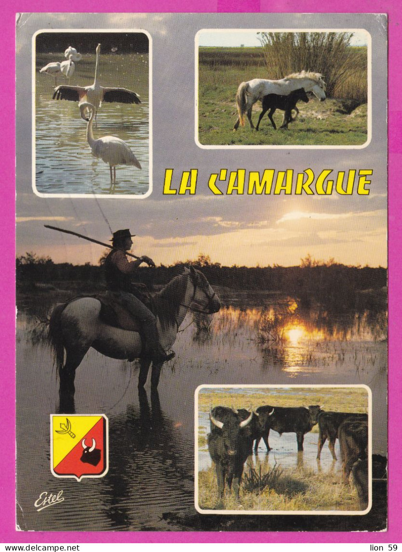 294210 / France -LA CAMARGUE Horse Bull Flamingos Lake PC 1983 USED 1.60+1.60Fr. Liberty Of Gandon Stes-Maries-de-la-Mer - 1982-1990 Liberté De Gandon