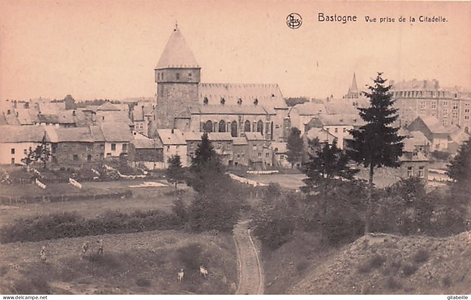 BASTOGNE - Vue Prise De La Citadelle - Bastogne