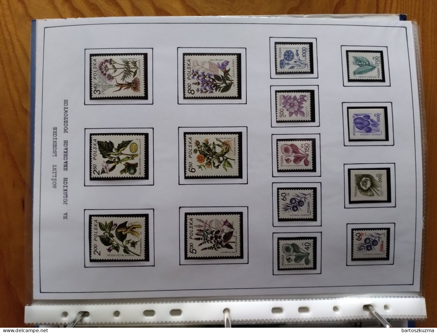 A Huge Collection Of Fauna And Flora Stamps, All Countries Of The World - Collections (without Album)