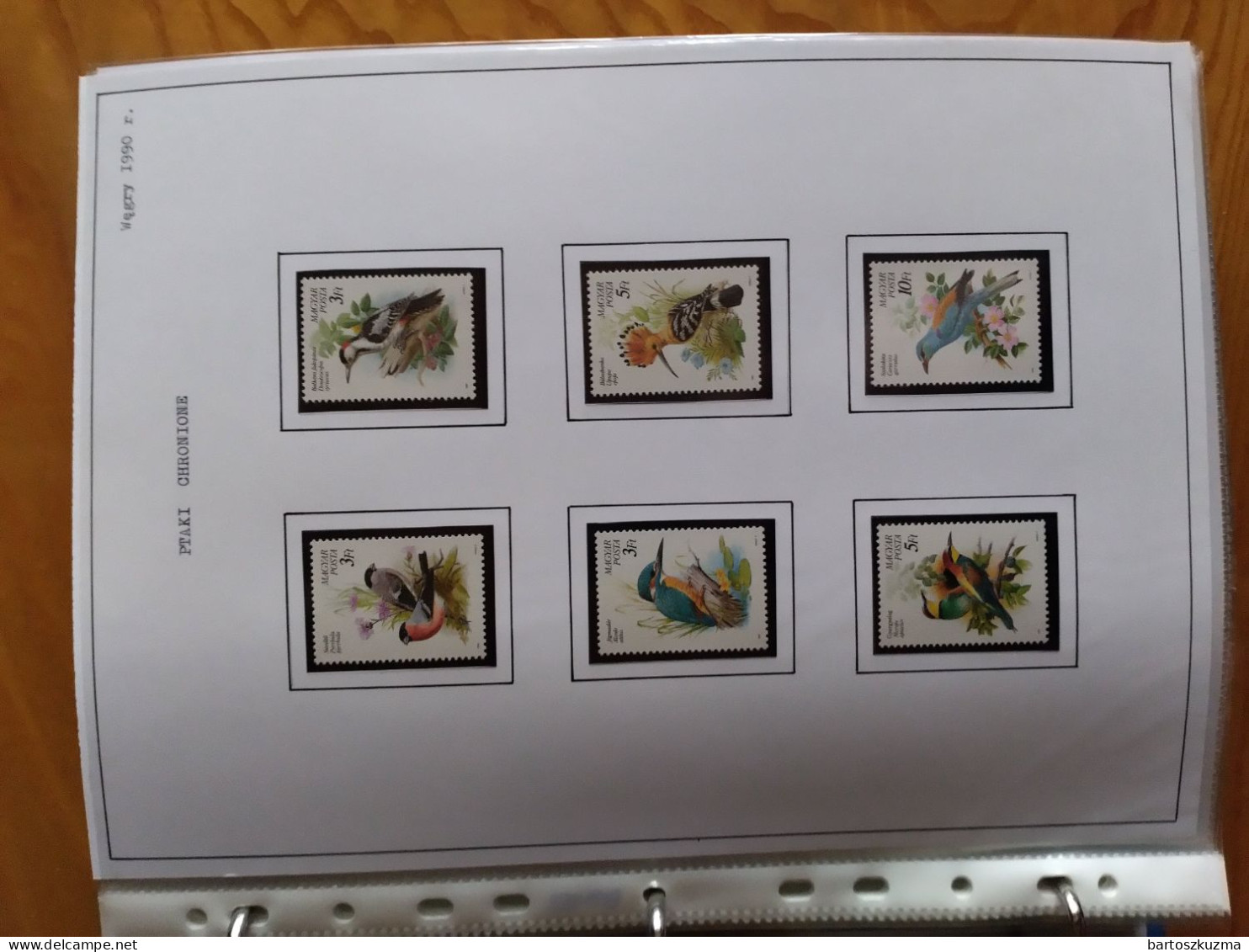 A Huge Collection Of Fauna And Flora Stamps, All Countries Of The World - Collections (sans Albums)