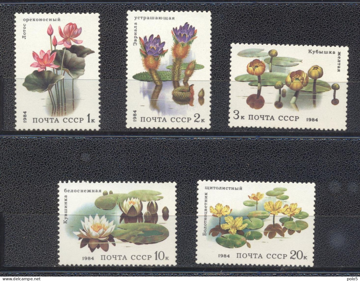 URSS 1984-Aquatic Flowers Set (5v) - Unused Stamps