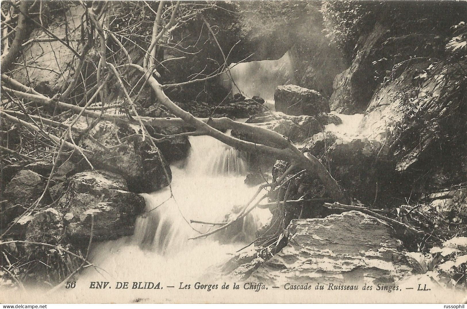 ALGERIE - ENV. DE BLIDA.  - LES GORGES DE LA CHIFFA - CASCADE DU RUISSEAU DES SINGES - HOTEL - 1923 - Blida