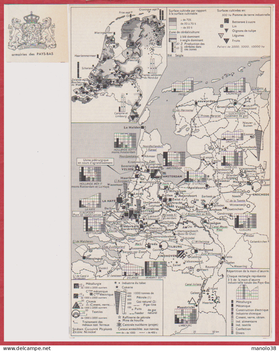 Pays Bas. Carte économique Et Armoiries. Larousse 1960. - Historische Dokumente