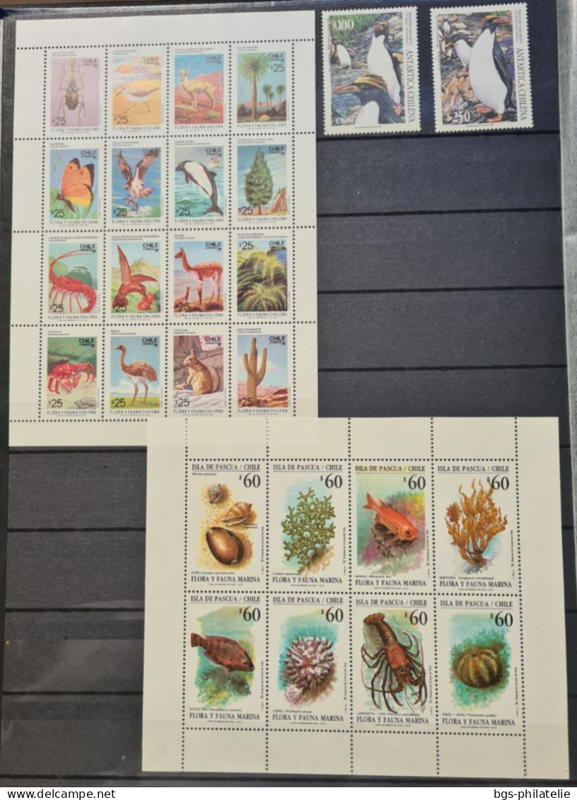 Collection De Timbres Sur Le Thème Amérique Du Sud,  Polaire. - Sammlungen (ohne Album)