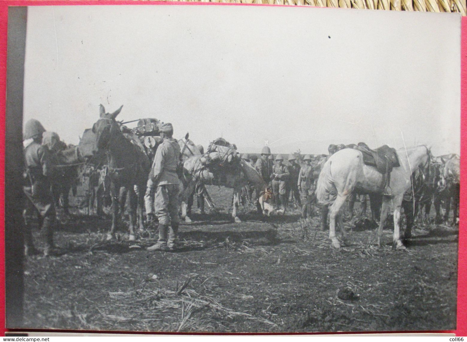 AFN Corps Expéditionnaire Français 5 Photos Casque Colonial Et Chemin De Fer 10.5x14.7cm - Guerre, Militaire