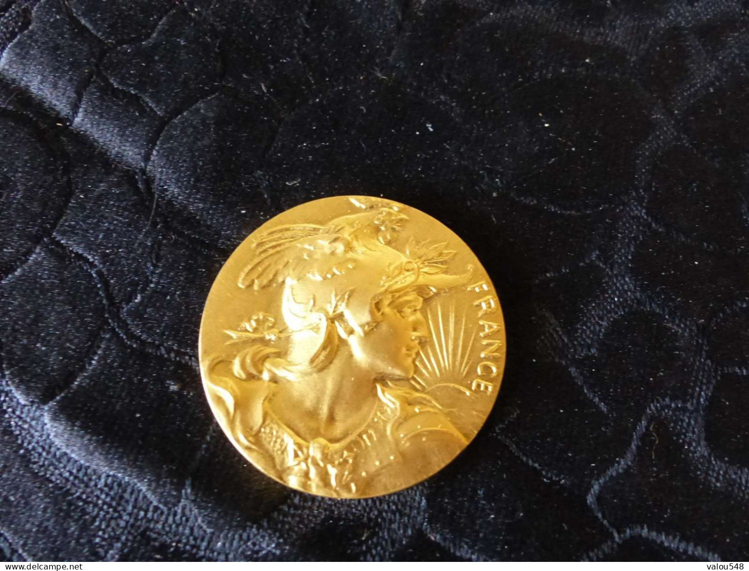 Jolie Médaille En Bronze Doré, Institut Pour La Fidélité Dans Le Travail, Louis Bottée - Professionals / Firms