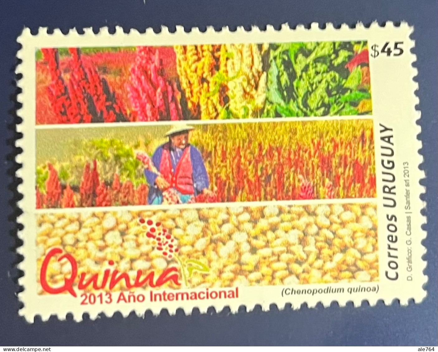 Uruguay 2013 Internacional Year Of Quinoa, Sc 2434, MNH. - Uruguay