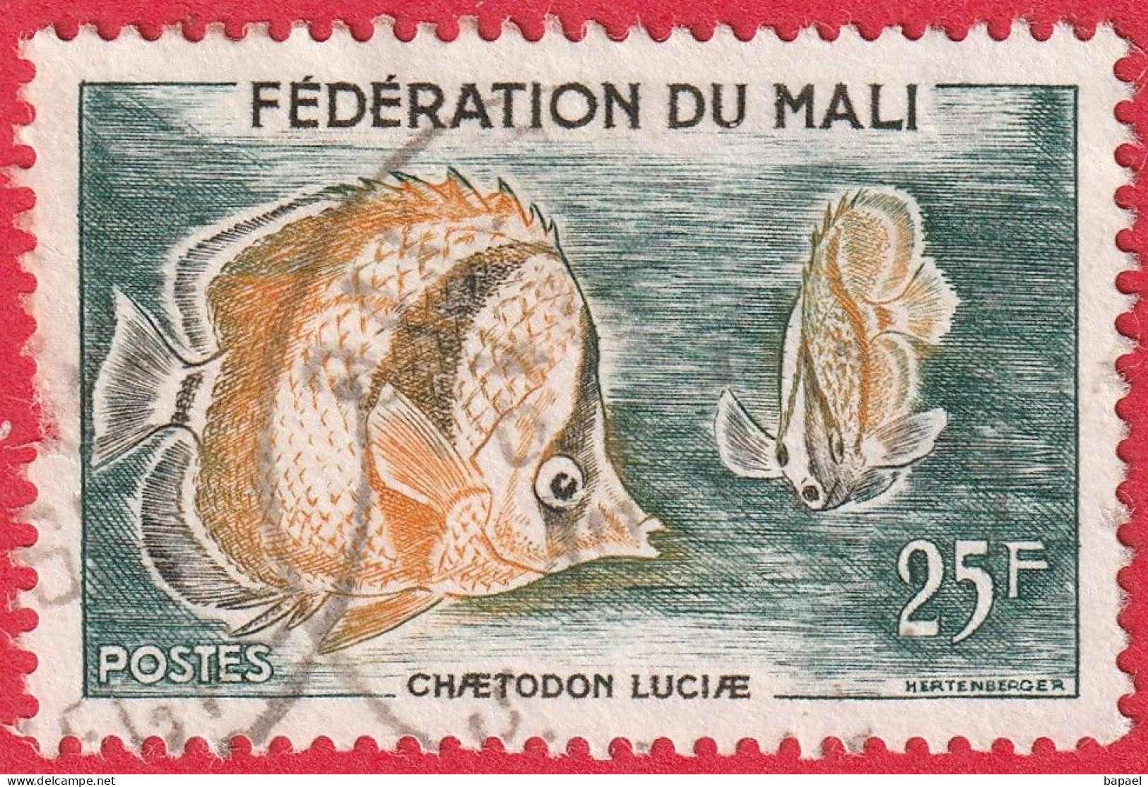 N° Yvert & Tellier 6 - Fédération Du Mali (1960) - (Oblitéré - Sans Gomme) - Poissons (Chaetodon Luciae) (1) - Mali (1959-...)