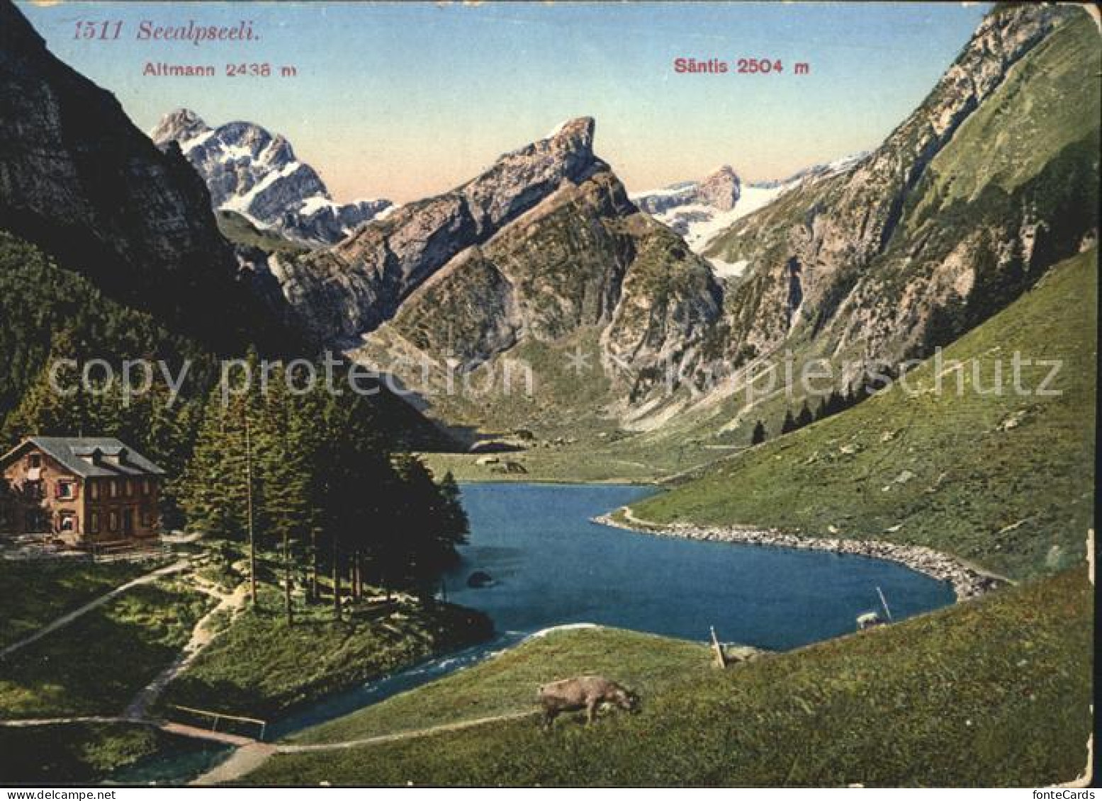 11669876 Seealpsee Saentis Seealpsee - Sonstige & Ohne Zuordnung