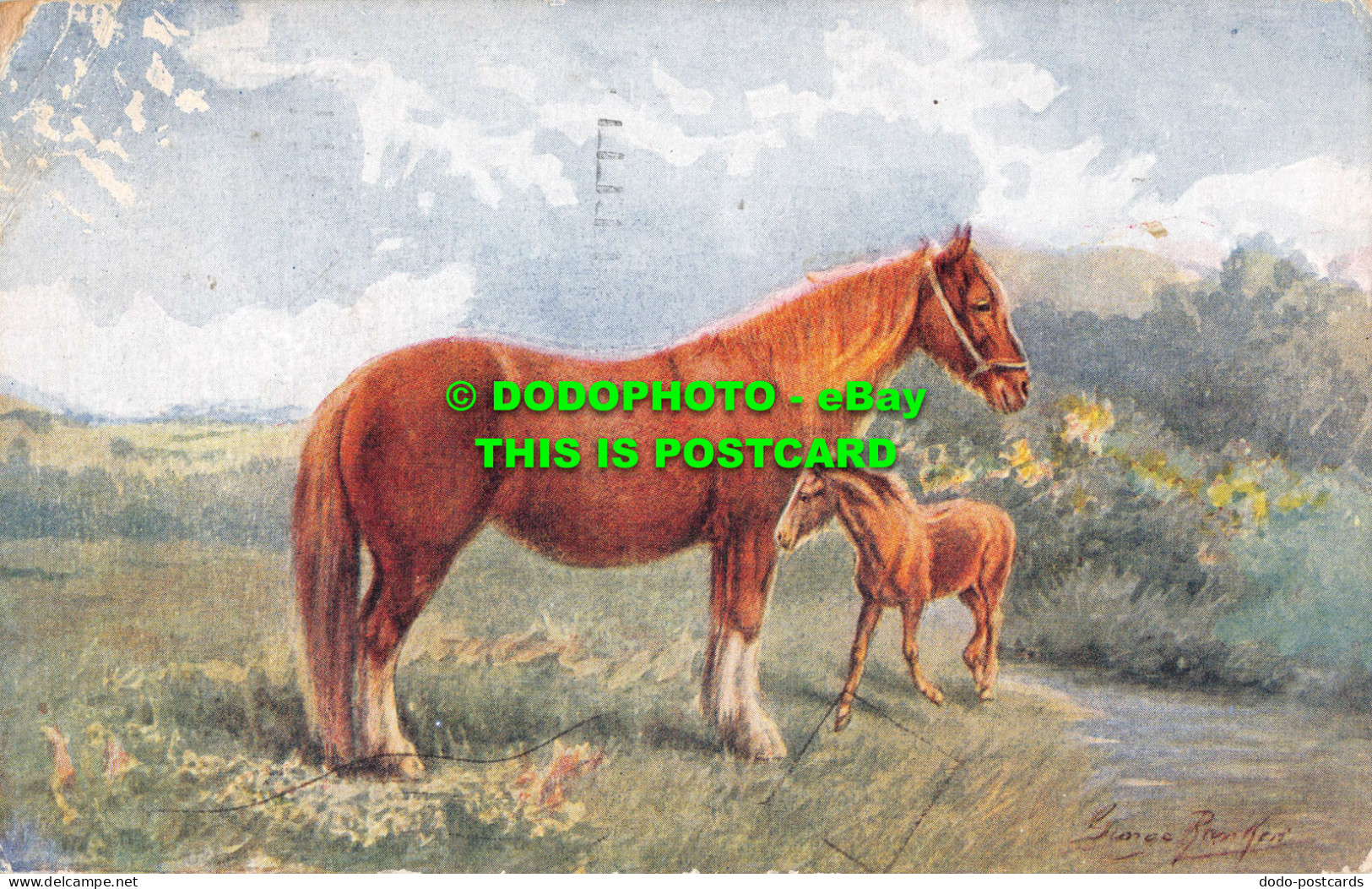 R554867 Horses. J. Salmon. Postcard. 1934 - Mundo