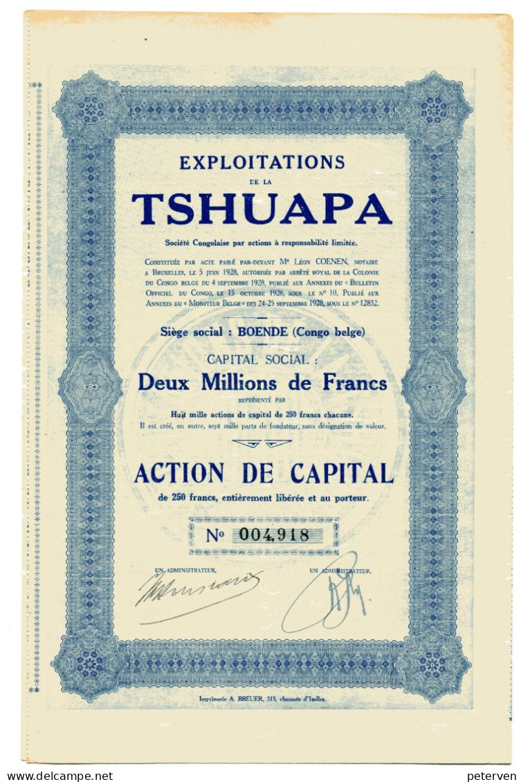 Congo Belge: Exploitations De La TSHUAPA; Action De Capital - Afrika