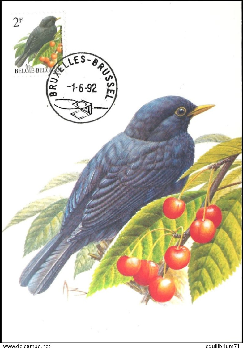 CM/MK° - 2458 - BUZIN - Merle Noir / Merel / Amsel / Blackbird / Turdus Merula - BXL-BSL - -1-6-92 - BUZIN - 1985-.. Birds (Buzin)