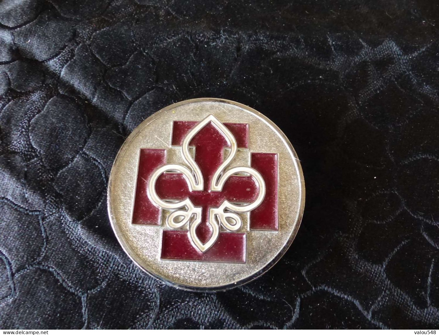 Grand Insigne Scout De France  Decat Paris - Scoutisme