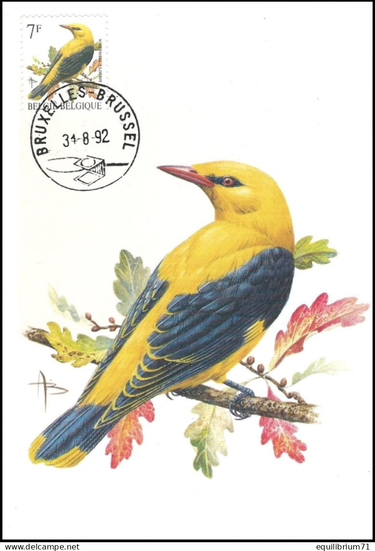 CM/MK° - Loriot / Wielewaal / Pirol / Oriole - BXL/BSL - 31-08-92 - BUZIN - 1985-.. Vogels (Buzin)