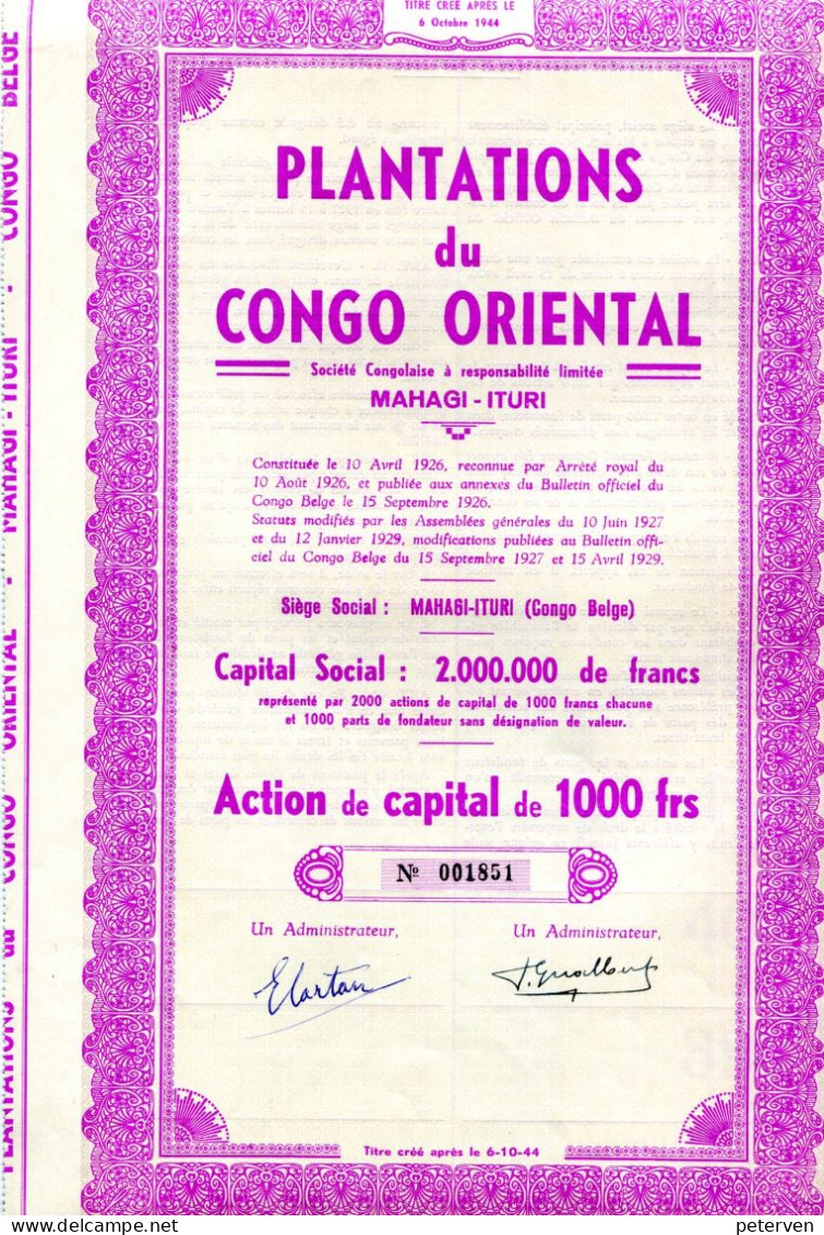 Congo Belge: PLANTATIONS Du CONGO ORIENTAL - Afrique
