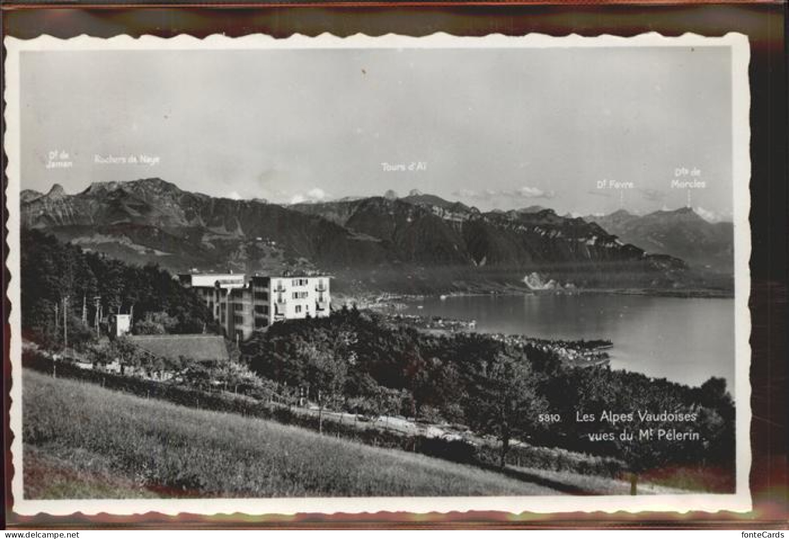 11305302 Vevey VD Mont Pelerin Lac Leman Et Les Alpes Vaudoises Dent De Jaman Ro - Other & Unclassified