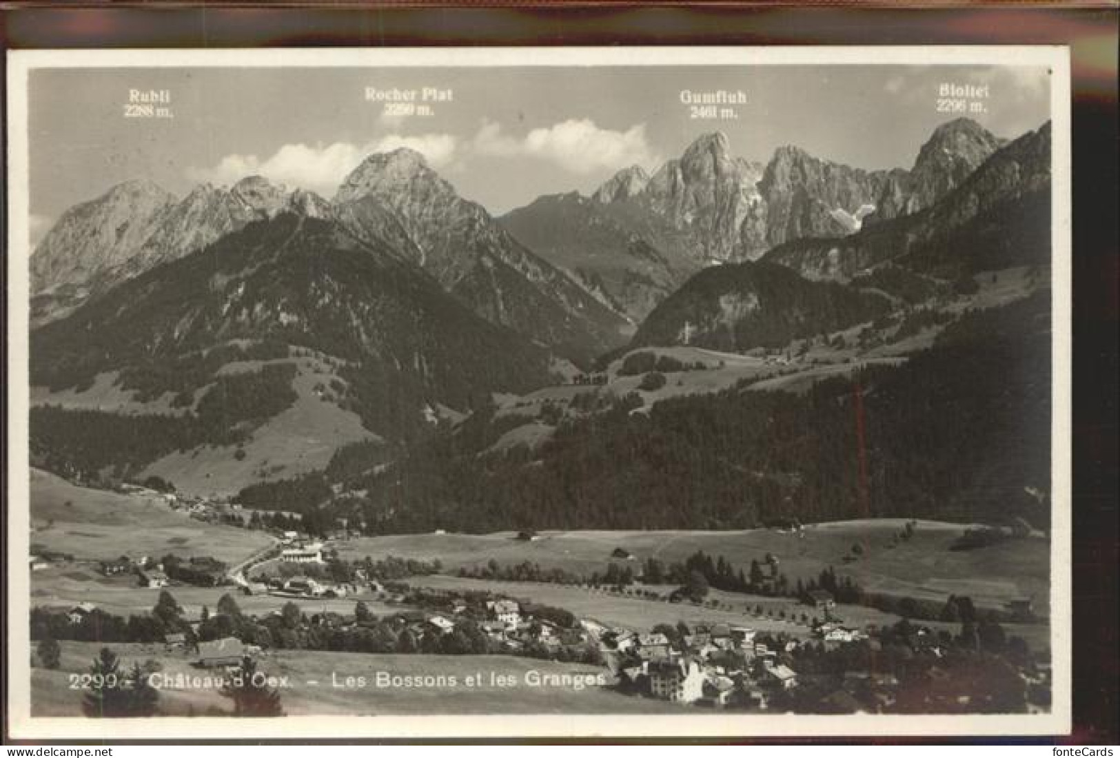 11305221 Chateau-d Oex Les Bossons Et Les Granges Rubli Rocher Plat Gumfluh Biol - Sonstige & Ohne Zuordnung