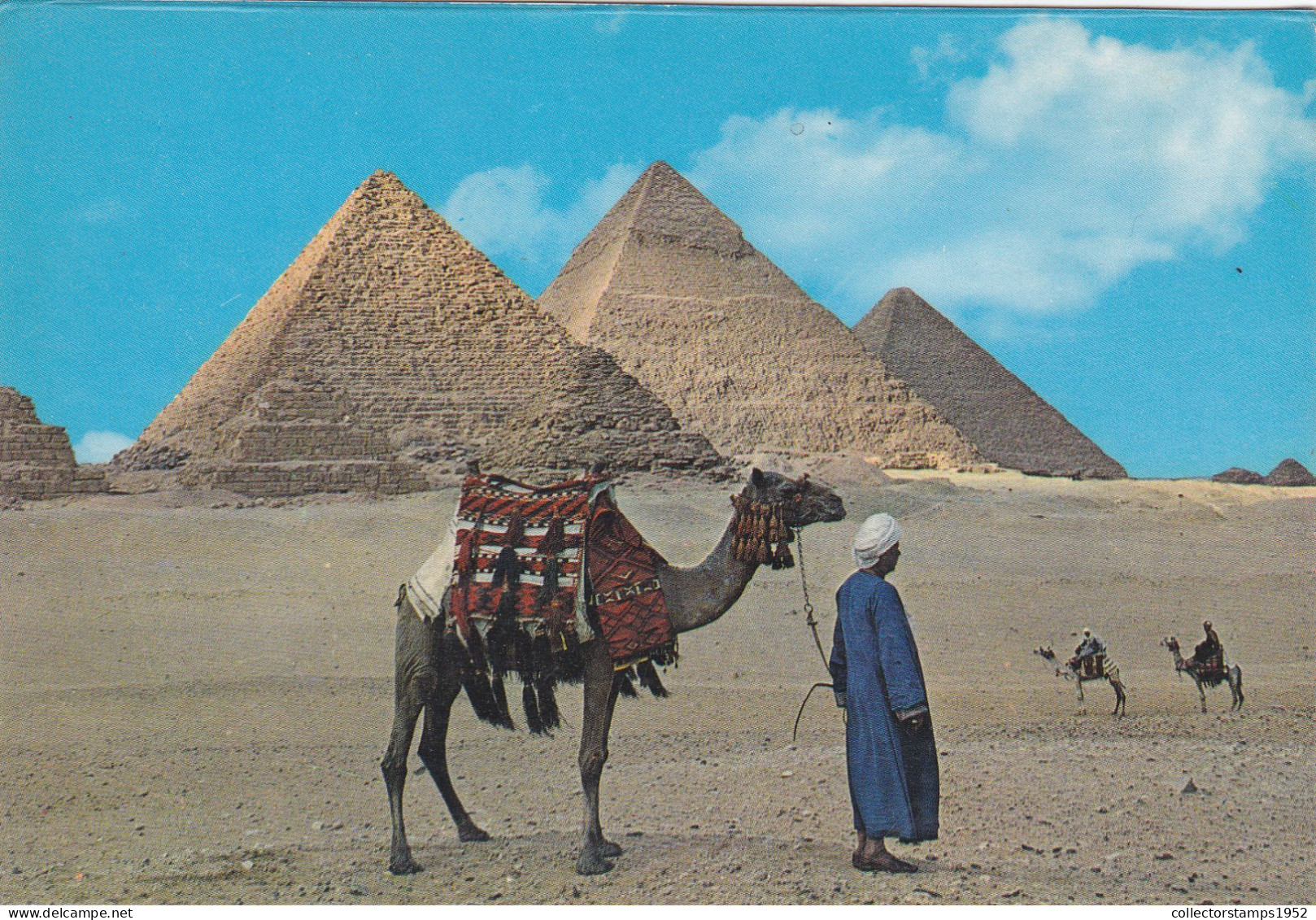 GIZA, GIZEH, PYRAMIDS, CAMELS, EGYPT, POSTCARD - Gizeh