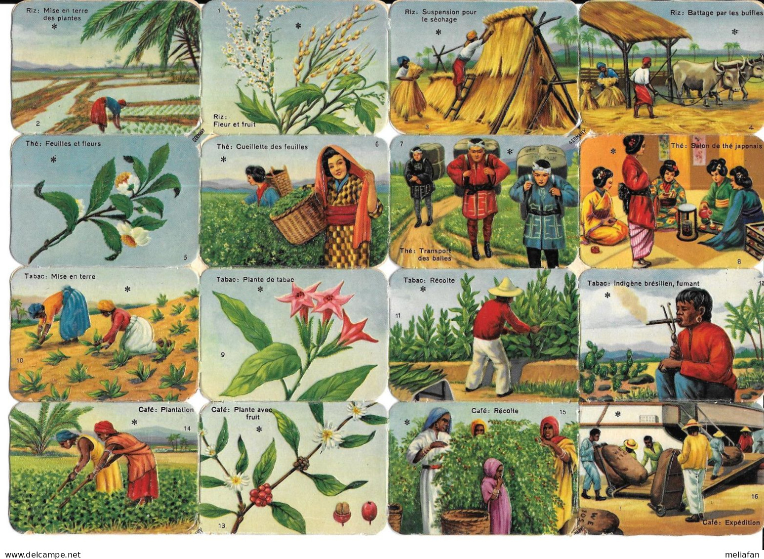 AN05 - PLANCHE IMAGES GAUFREES CHOCOLAT LOUIT - PRODUITS COLONIAUX - Autres & Non Classés