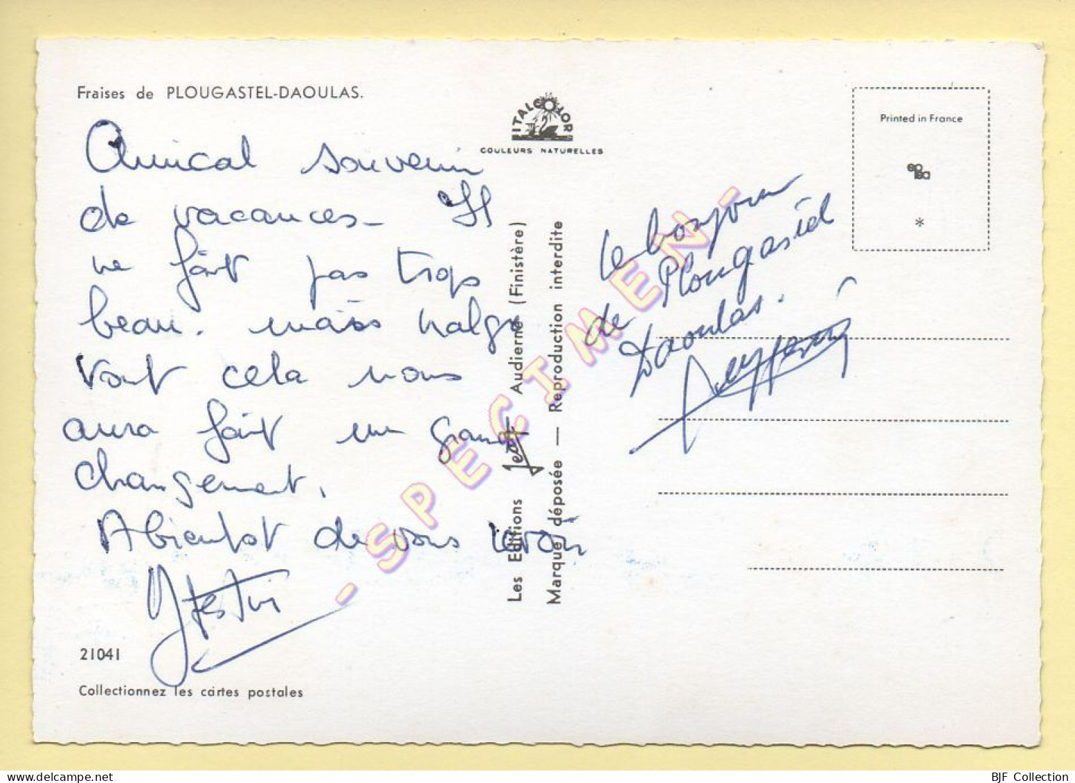 29. Fraises De PLOUGASTEL-DAOULAS / CPSM (voir Scan Recto/verso) - Plougastel-Daoulas