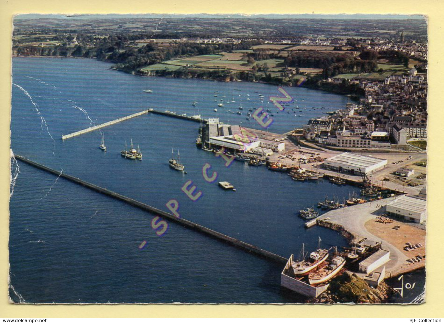 29. DOUARNENEZ – Le Port De Pêche / La Criée Et Le Slipway (voir Scan Recto/verso) - Douarnenez