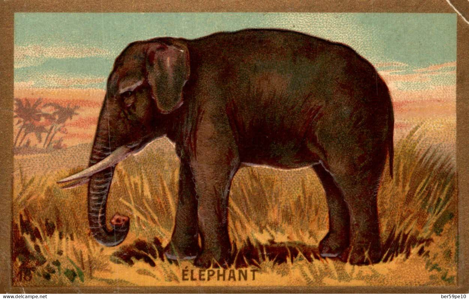 CHROMO GAUFRE N°18 ELEPHANT - Autres & Non Classés
