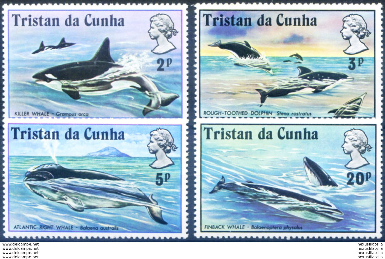 Fauna. Cetacei 1975. - Tristan Da Cunha