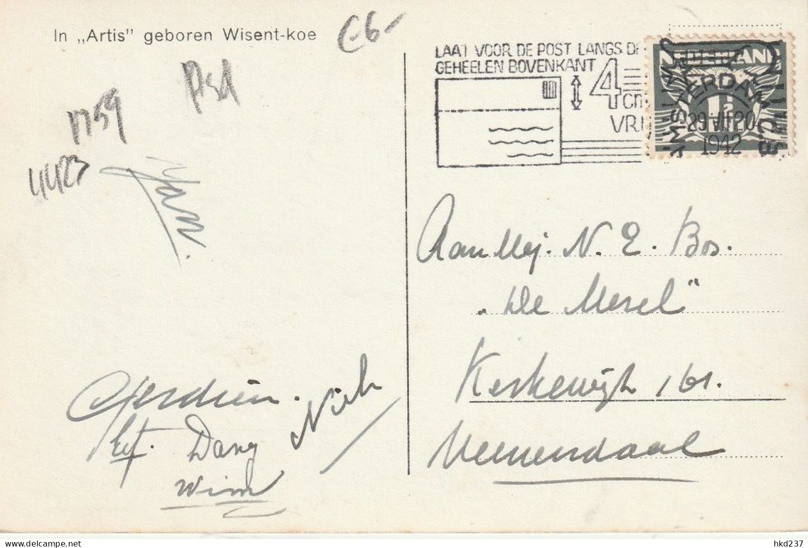 Amsterdam In Artis Geboren Wisent-koe # 1942    4423 - Amsterdam