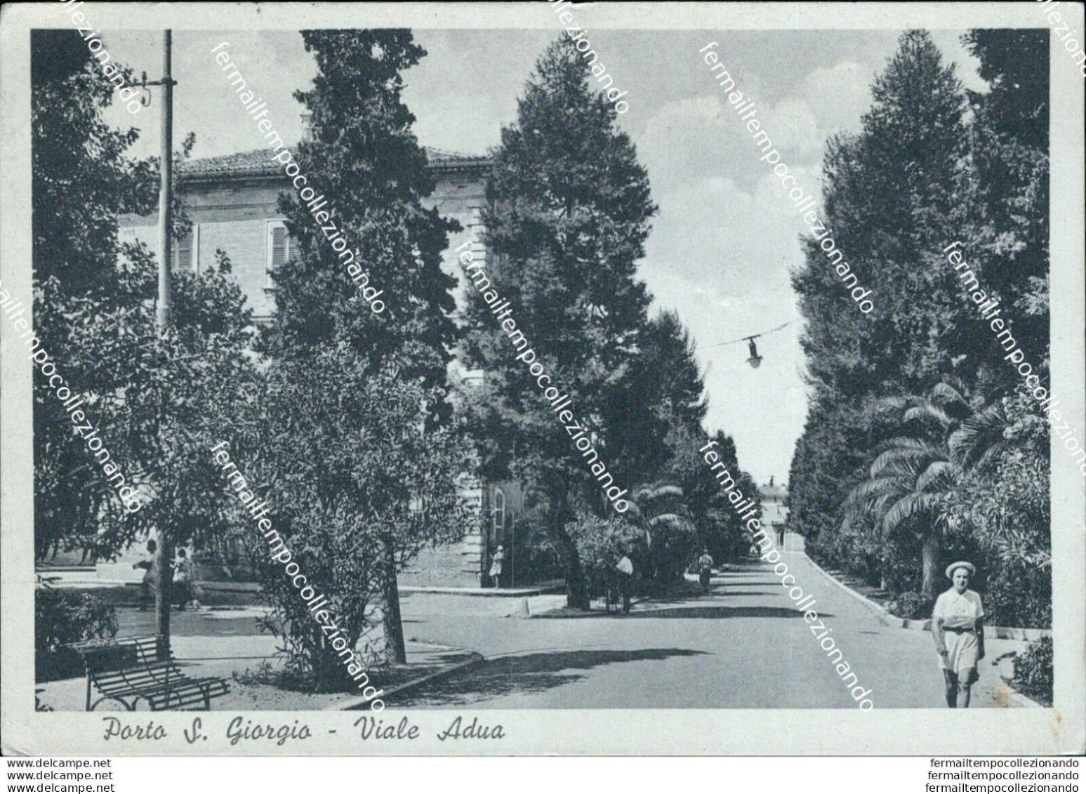 Bi183 Cartolina Porto S.giorgio Viale Adua Provincia Di Ascoli Piceno - Ascoli Piceno